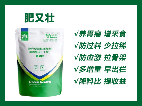 肥又壮---增肥助长 开胃消食 提升免疫 拉大骨架 提前出栏