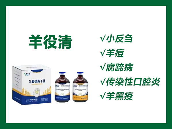 羊役清（A+B）---羊小反刍兽疫、传染性口疮、肠毒血症、羔羊痢疾、羊快疫、羊黑疫、羊猝狙等的紧急预防和治疗