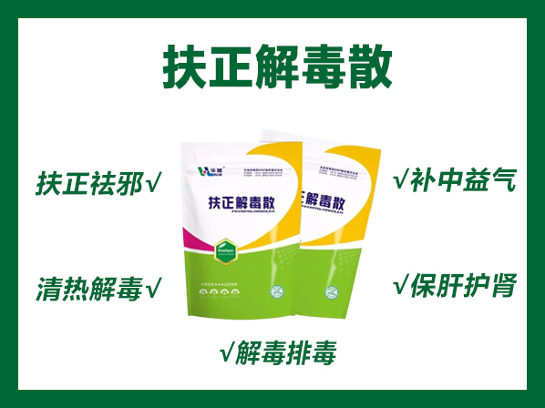 扶正解毒散——扶正祛邪、清热解毒、补中益气、保肝护肾、解毒排毒