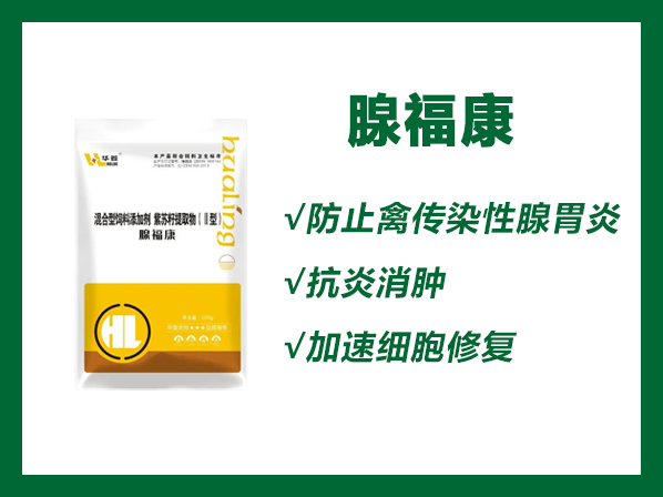 腺福康--防治禽传染性腺胃炎，肌胃炎，具有抗炎消肿 ，加速细胞修复，促进肠道消化吸收功能。