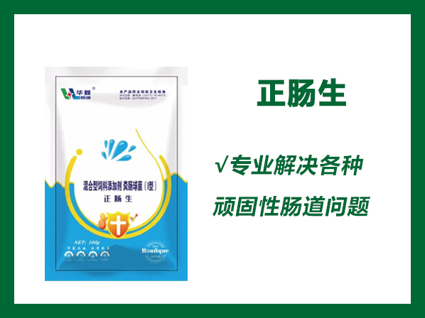 正肠生——保护肠道、解决肠炎、腹泻、过料等各种肠道问题