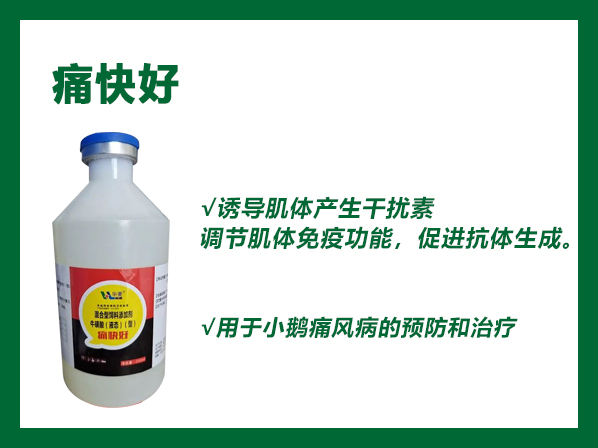 痛快好--用于小鹅痛风病的预防和治疗