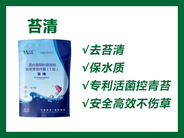 苔清---专利活菌控青苔！高效安全不伤草！