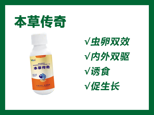 本草传奇---小瓜虫、轮虫 、指环虫、绦虫、孢子虫、车轮虫