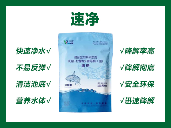 速净---快速净水 降解毒素 清洁池底