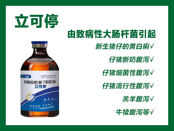 立可停---治疗仔猪腹泻、羔羊腹泻、牛犊腹泻，更快更强，立竿见影。
