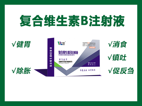 复合维生素B注射液---各种原因引起的厌食、食欲废绝等症