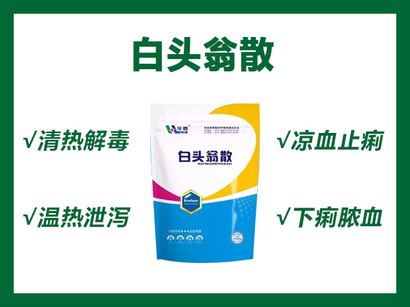 白头翁散----清热解毒、凉血止痢、温热泄泻、下痢脓血
